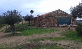 - A Casa do Monte